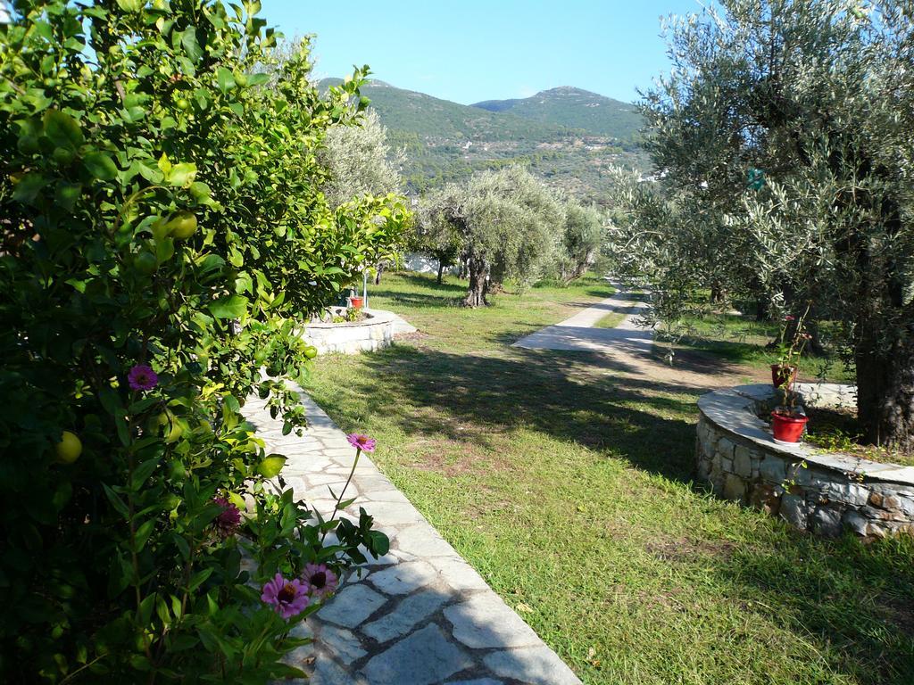 Liossis Rooms & Apartments Skopelos stad Exteriör bild