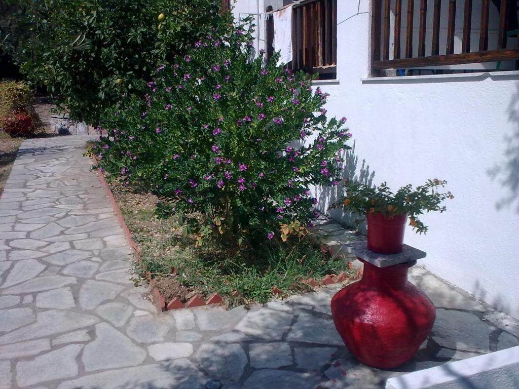 Liossis Rooms & Apartments Skopelos stad Exteriör bild